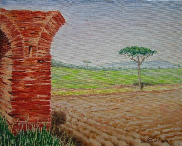 Campagna arata